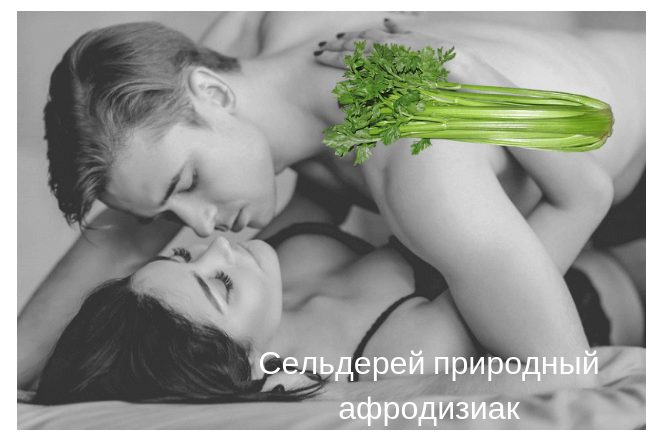 Польза корня и стеблей сельдерея для повышения мужской потенции и здоровья