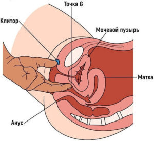 Как добиться множественного оргазма?